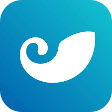 token钱包安全吗